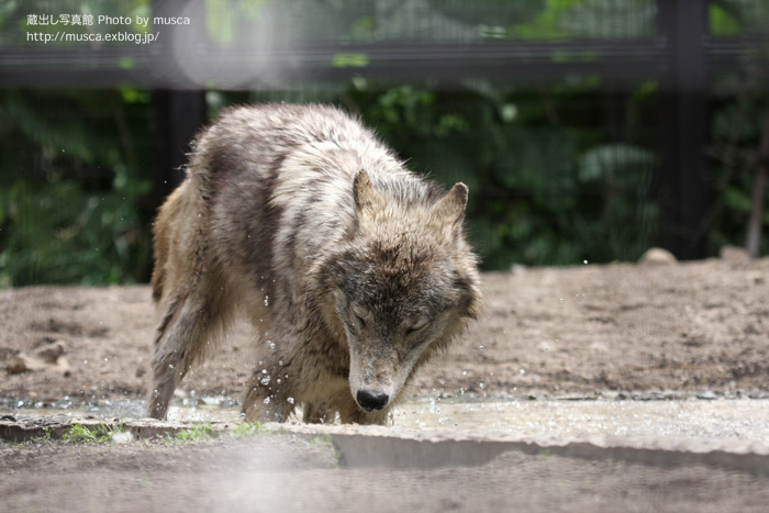 ユウキ君の水泳訓練・続編？_b0024125_22464992.jpg