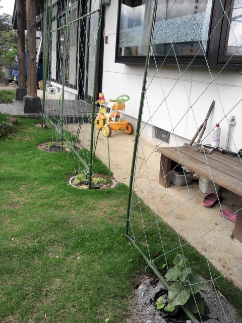 b0249826_09586.jpg