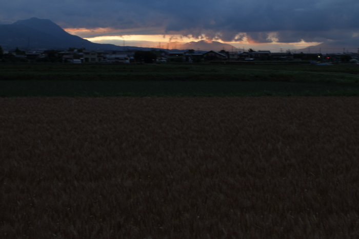 c0215627_2175467.jpg