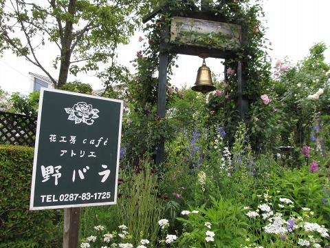 e0202031_2244337.jpg