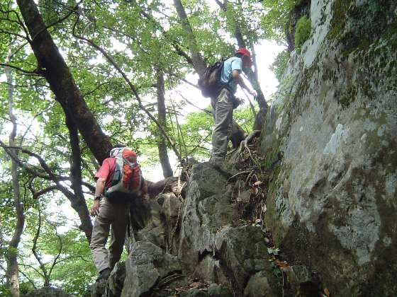 ①　経ケ岳（１０７５ｍ）_c0077338_22232792.jpg