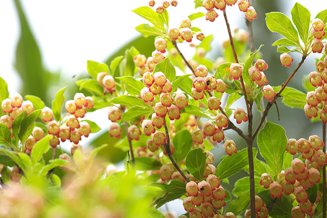 c0067040_2343454.jpg