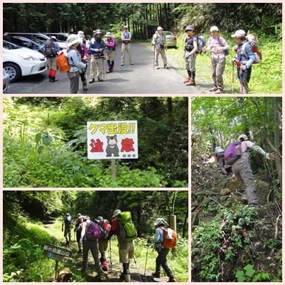 山口・周南の山、莇ヶ岳_e0164643_852027.jpg