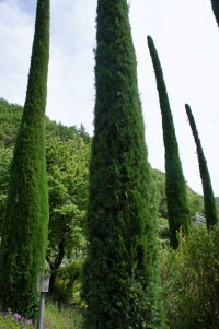 香りの旅Vol.2_b0239244_22224819.jpg