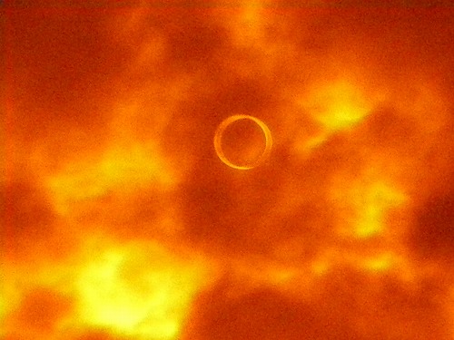e0016845_8163532.jpg