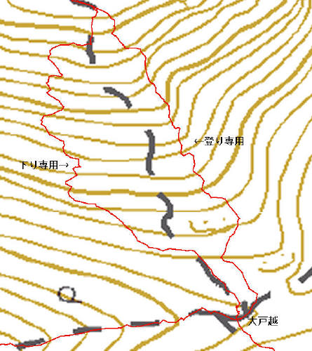 ２０１２年６月１０日　平治岳　大船山_c0179351_1103168.jpg