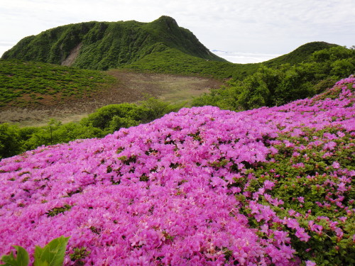 ２０１２年６月１０日　平治岳　大船山_c0179351_1143955.jpg