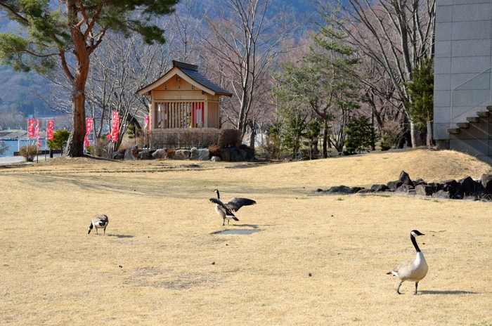 ぶらり河口湖　河口湖美術館 編_b0216456_19321250.jpg