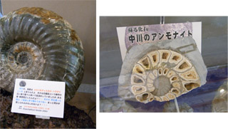 f0078756_22393587.jpg