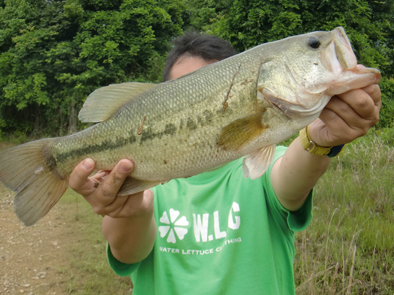 サッと釣ってサッと帰る_b0177760_0134995.jpg