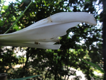 c0108460_22491798.jpg