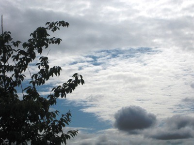 c0190960_657756.jpg