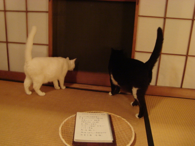 三鷹「虎茶屋」へ行く。_f0232060_2243549.jpg