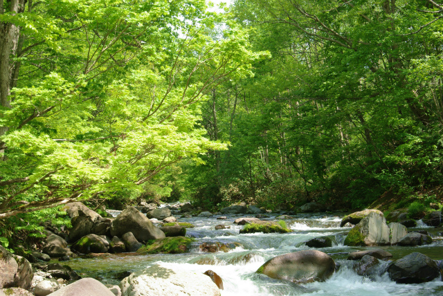 c0240462_2261578.jpg