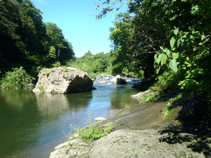 d0162663_22545366.jpg
