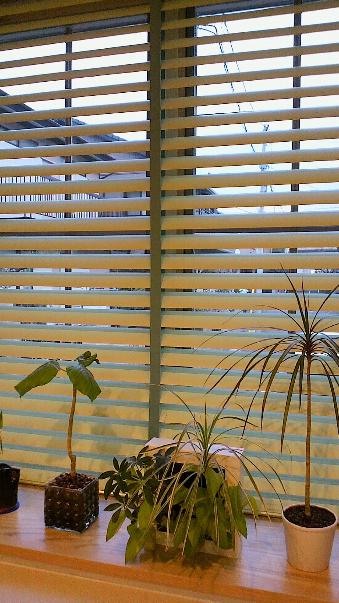 c0157866_1311155.jpg