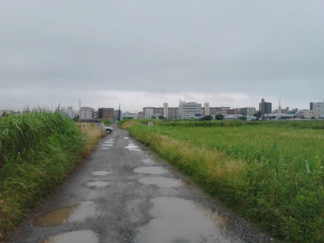 b0155973_7113721.jpg