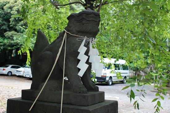 　　雪ケ谷八幡神社の狛犬さん。_c0150974_1719107.jpg