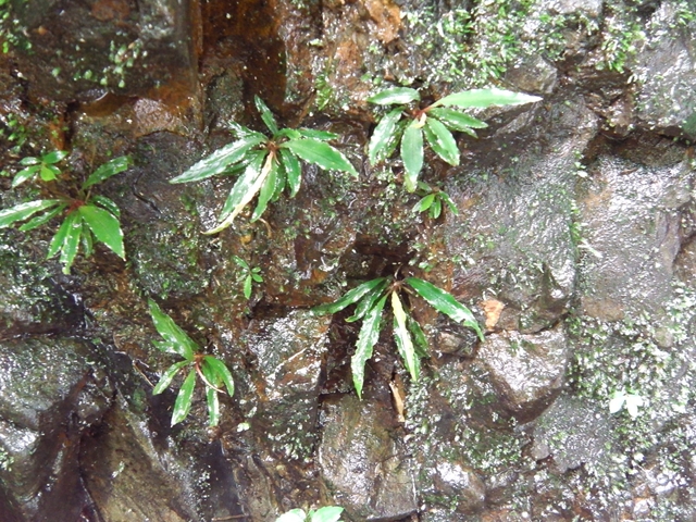 a0067578_10162912.jpg