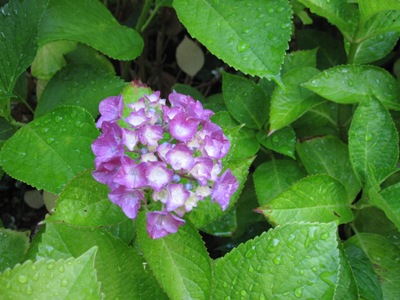 f0153383_00287.jpg