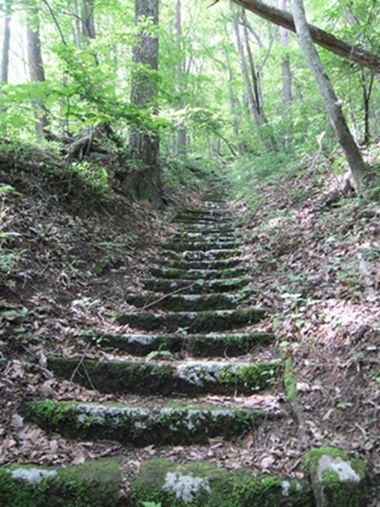 f0215591_20133.jpg