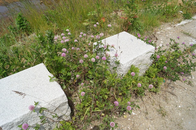d0181492_15171638.jpg