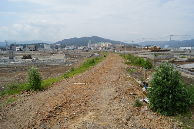 d0181492_1521264.jpg