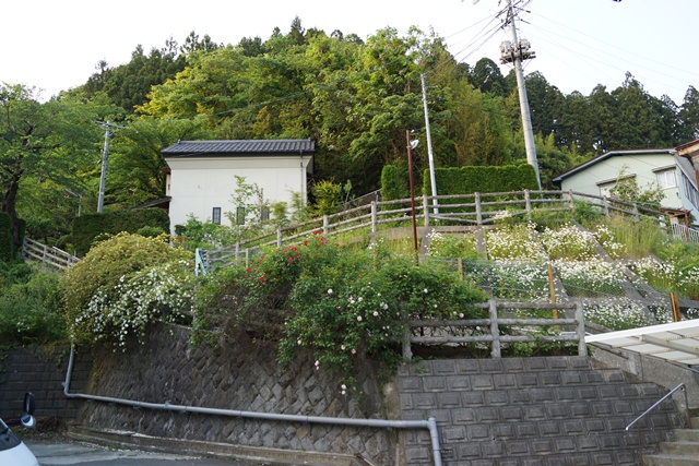 気仙沼の復興を願って・・・気仙沼、頑張れ気仙沼、被災からい１５ヶ月の気仙沼、気仙沼への願い④_d0181492_15281983.jpg