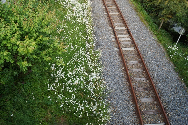 d0181492_15344968.jpg