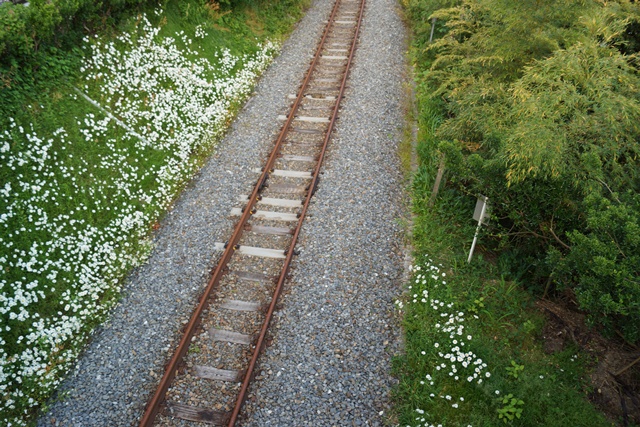 d0181492_15355683.jpg