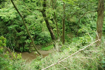 a0218499_12414076.jpg