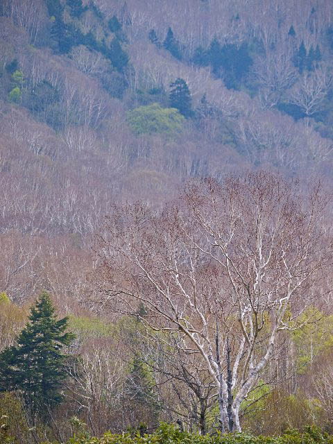 c0008502_835265.jpg