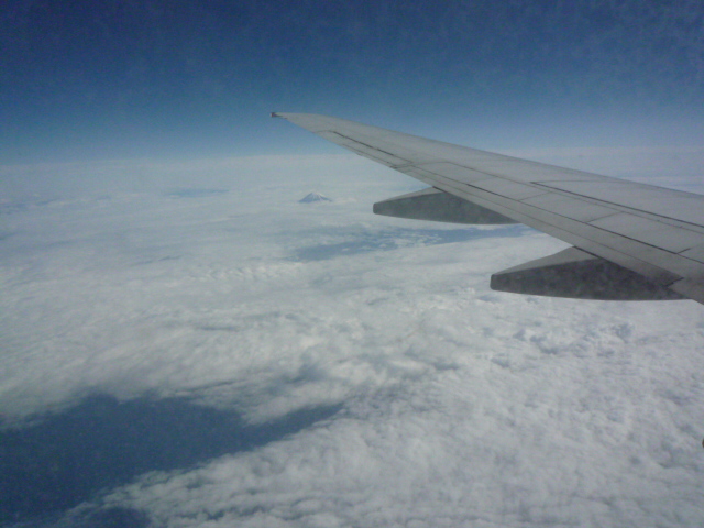 e0190502_79689.jpg