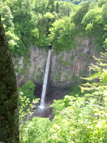 d0256703_02296.jpg