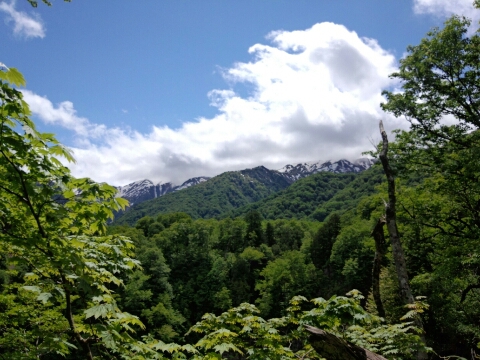 d0256703_032159.jpg