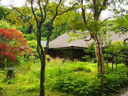 北鎌倉 6月の浄智寺(2012.06.11 part2) : フランス語と、鎌倉と