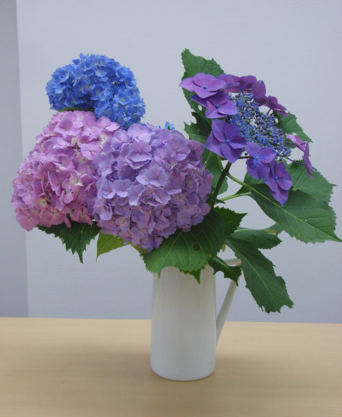 アトリエ蒼通信265 2012年6月12日(火) _b0129807_21312780.jpg