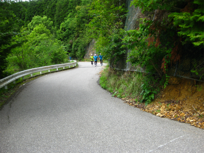 オクムRUN（顔振峠～県民の森）_a0036808_16302494.jpg