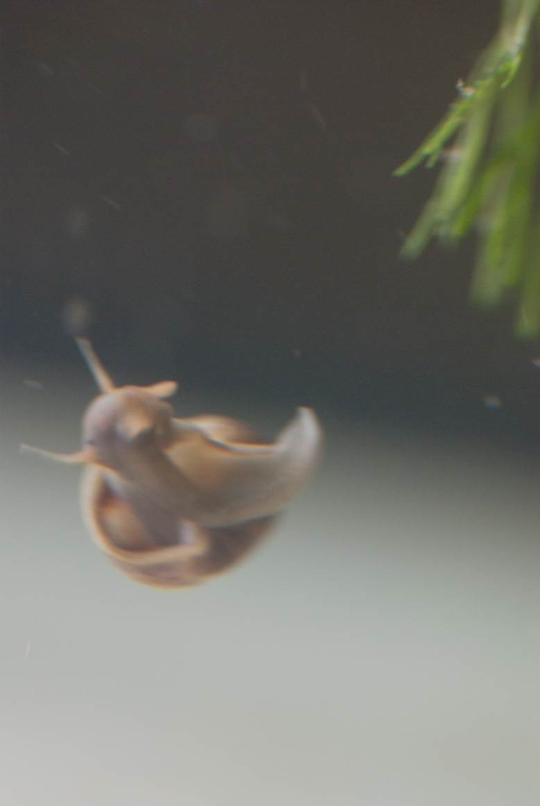 enjoy ♪_f0155808_1121241.jpg