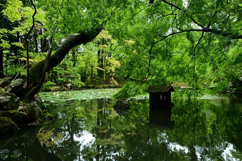 青葉巡り・南禅寺塔頭　天授庵　其の二_f0032011_19493217.jpg