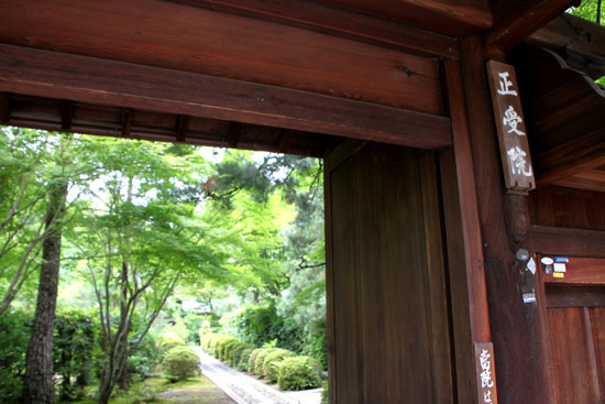 大徳寺 境内をめぐる_e0048413_21595835.jpg
