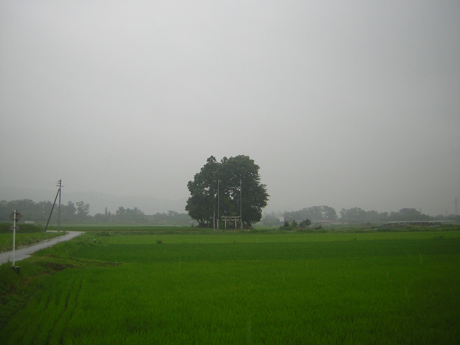 Rainy Dayz,,,,,_d0179518_1753094.jpg
