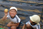 f0087620_13133632.jpg