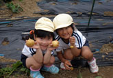 f0087620_1314082.jpg