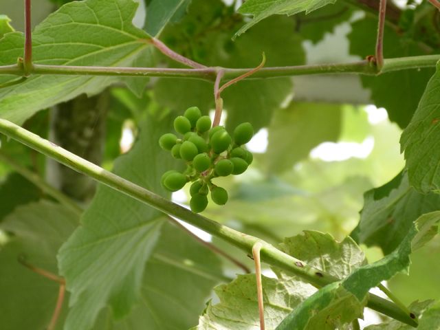 a0188023_7474052.jpg