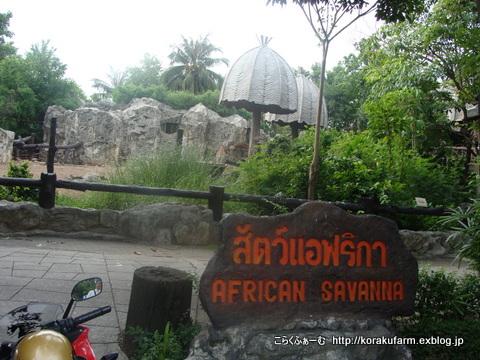 ドゥシット動物園のアフリカサバンナゾーン_c0188824_10224.jpg