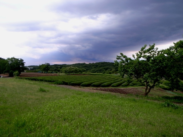 とうきょうAD88さんの凄み_b0163129_01140.jpg
