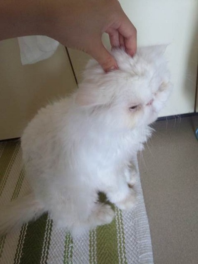 似てくるねー_d0152937_20514825.jpg