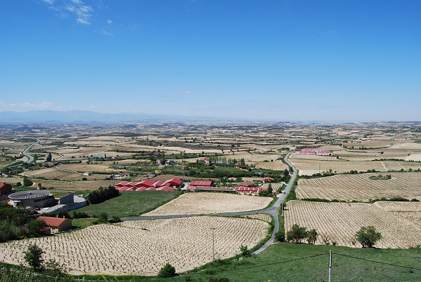 e0120938_8292025.jpg