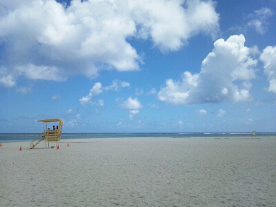 e0173239_1375794.jpg